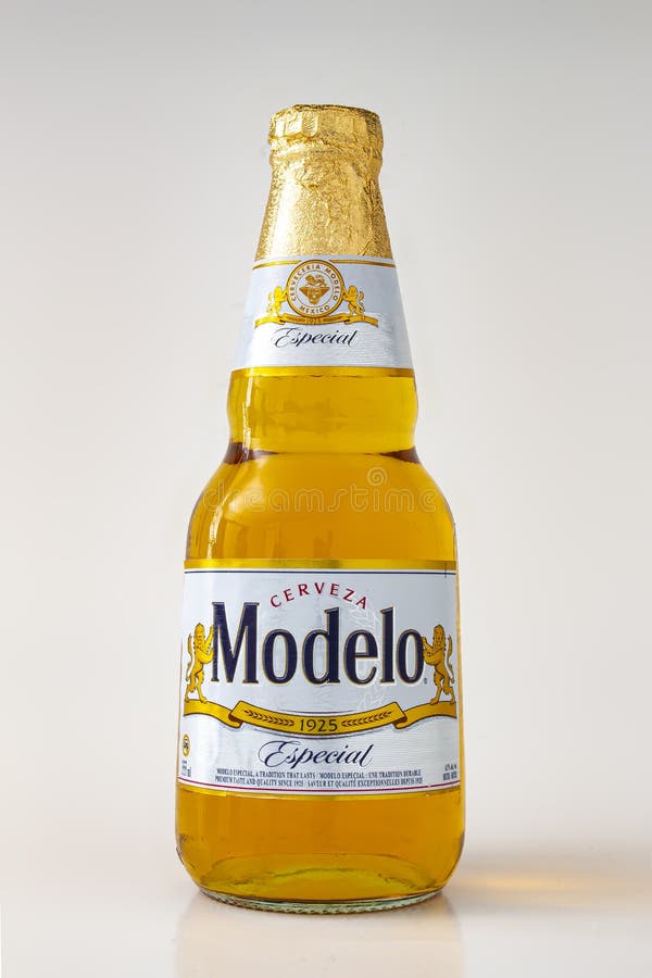 MODELO ESPECIAL NR