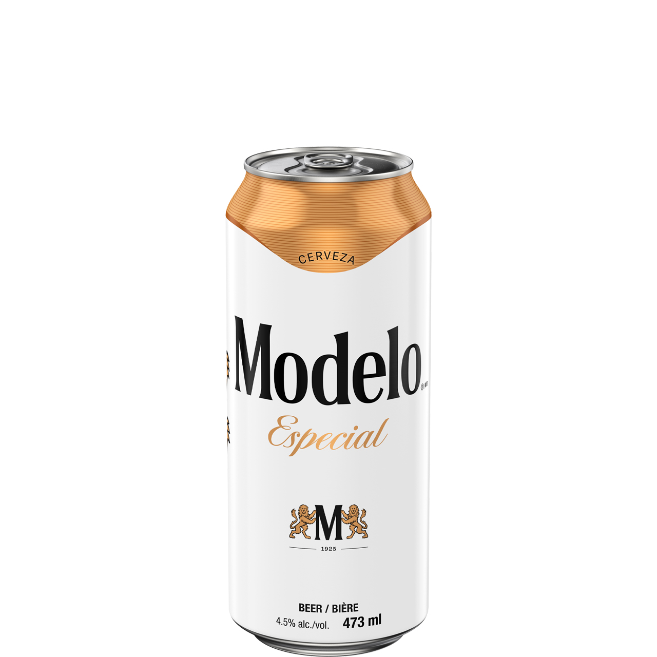 MODELO ESPECIAL SINGLE CAN