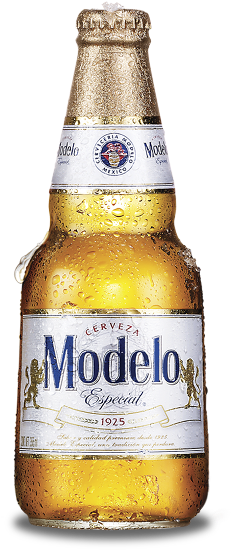 MODELO ESPECIAL
